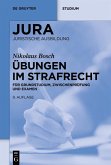 Übungen im Strafrecht (eBook, ePUB)
