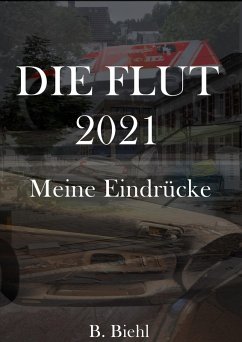 Cover Die Flut 2021 - Meine Eindrücke (eBook, ePUB)