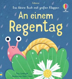 Das kleine Buch mit großen Klappen: An einem Regentag - Cartwright, Mary