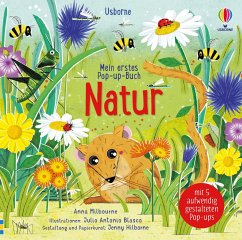 Mein erstes Pop-up-Buch: Natur - Milbourne, Anna