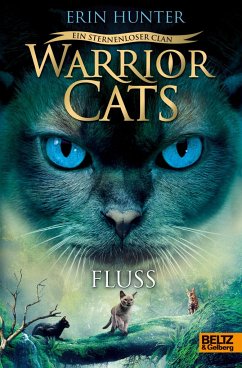 Fluss / Warrior Cats Staffel 8 Bd.1 - Hunter, Erin