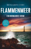 Flammenmeer / Nicolas Guerlain Bd.7