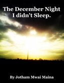 The December Night I Didn't Sleep (eBook, ePUB)