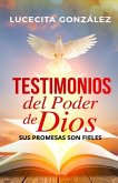 Testimonios del poder de Dios: Sus promesas son fieles