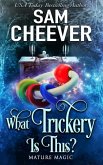 What Trickery Is This?: A Paranormal Women's Fiction Novel