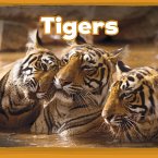 Tigers (eBook, PDF)
