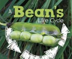 Bean's Life Cycle (eBook, PDF)