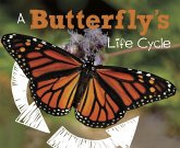 Butterfly's Life Cycle (eBook, PDF)