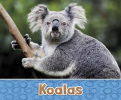 Cover Koalas (eBook, PDF)