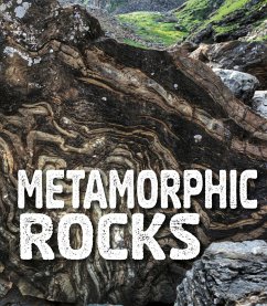 Cover Metamorphic Rocks (eBook, PDF)