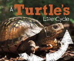 Turtle's Life Cycle (eBook, PDF) - Dunn, Mary R.