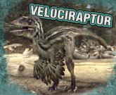 Velociraptor (eBook, PDF)