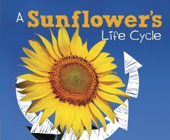 Cover Sunflower's Life Cycle (eBook, PDF)