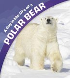 Day in the Life of a Polar Bear (eBook, PDF)