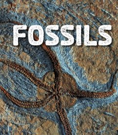 Cover Fossils (eBook, PDF)