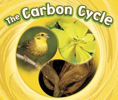 Carbon Cycle (eBook, PDF) - Ipcizade, Catherine