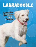 Labradoodle (eBook, PDF)