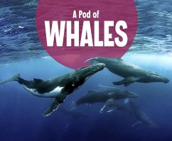 Cover Pod of Whales (eBook, PDF)
