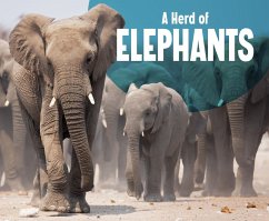 Herd of Elephants (eBook, PDF) - Kortuem, Amy