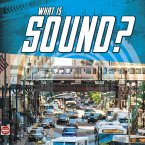 What Is Sound? (eBook, PDF)