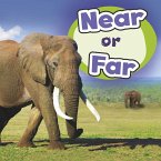Near or Far (eBook, PDF)