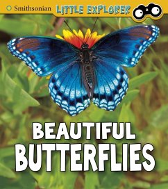 Cover Beautiful Butterflies (eBook, PDF)