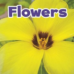 Cover Flowers (eBook, PDF)