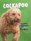 Cockapoo (eBook, PDF)