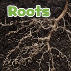 Roots (eBook, PDF)