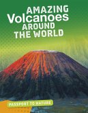 Amazing Volcanoes Around the World (eBook, PDF)