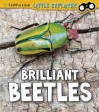 Brilliant Beetles (eBook, PDF)