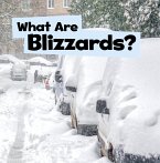 What Are Blizzards? (eBook, PDF)