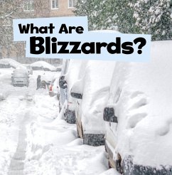 What Are Blizzards? (eBook, PDF) - Schuh, Mari