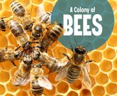 Colony of Bees (eBook, PDF)