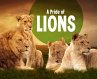 Pride of Lions (eBook, PDF) - Bild 1