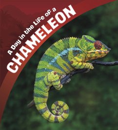 Day in the Life of a Chameleon (eBook, PDF) - Amstutz, Lisa J.