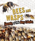 Bees and Wasps (eBook, PDF) Bees and Wasps (eBook, PDF)