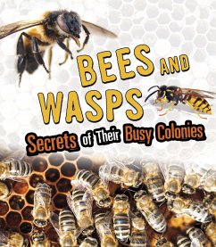 Cover Bees and Wasps (eBook, PDF)