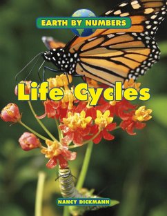 Cover Life Cycles (eBook, PDF)