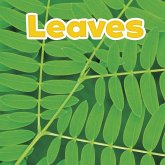 Leaves (eBook, PDF)