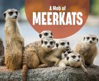 Mob of Meerkats (eBook, PDF)