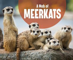 Mob of Meerkats (eBook, PDF) - Rustad, Martha E. H.