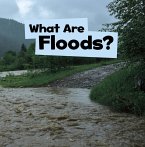 What Are Floods? (eBook, PDF)