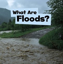 What Are Floods? (eBook, PDF) - Schuh, Mari