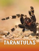 Tarantulas (eBook, PDF)