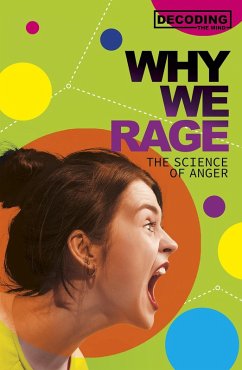 Why We Rage (eBook, PDF) - Mayer, Melissa