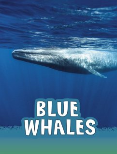 Blue Whales (eBook, PDF) - Schuh, Mari