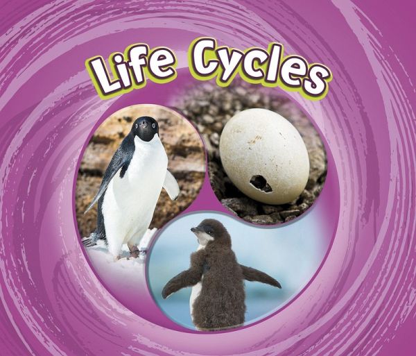 Life Cycles (eBook, PDF) Life Cycles (eBook, PDF)