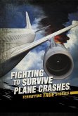 Fighting to Survive Plane Crashes (eBook, PDF)