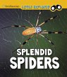 Splendid Spiders (eBook, PDF) - Bild 1